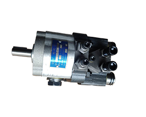 CBS-D300系列双向液压推杆齿轮泵